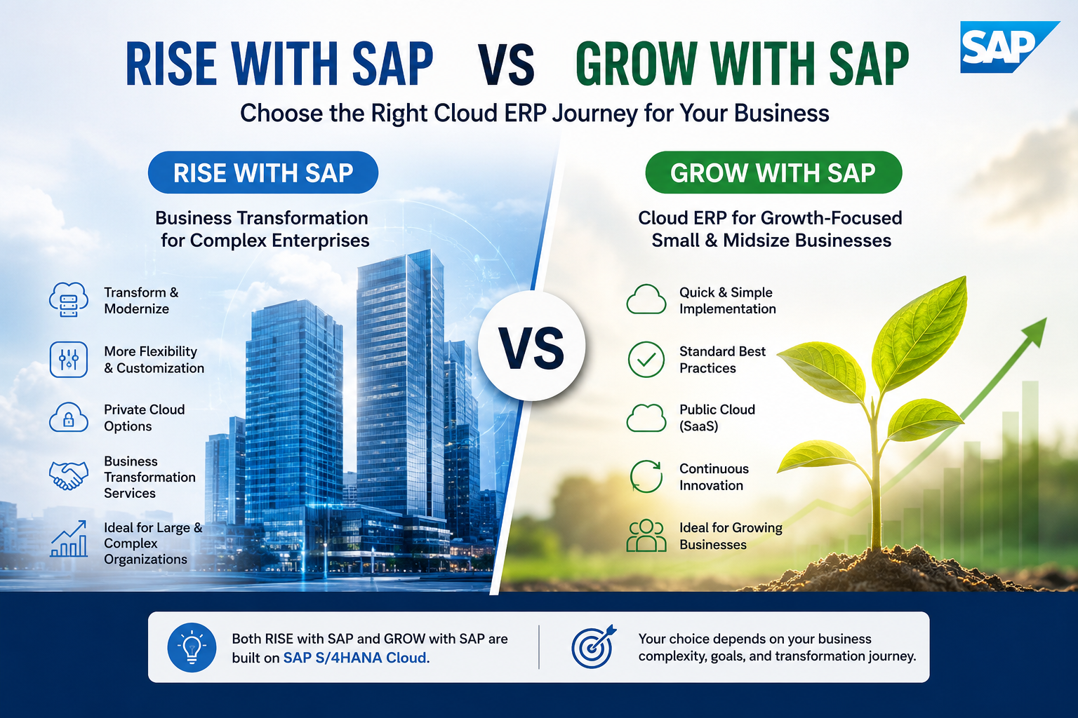 RISE with SAP vs GROW with SAP
