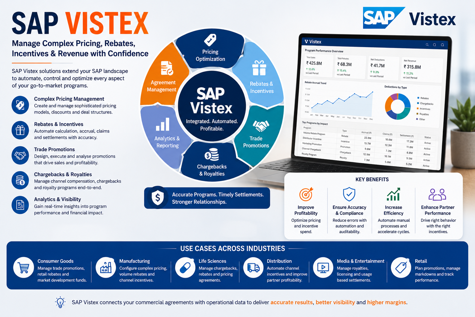 SAP Vistex Guide